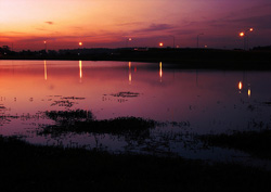 Photograph of a lake scene at dusk
